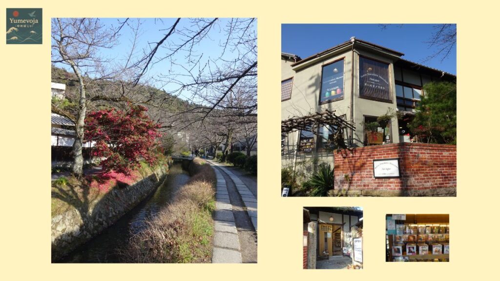 哲学の道 京都 小川 散策 桜 東山 静かな道 観光