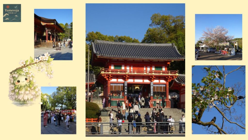 京都 八坂神社 桜まつり 葉桜 丸山公園 人混み 屋台 春 日本 観光 神社 カラス 青空