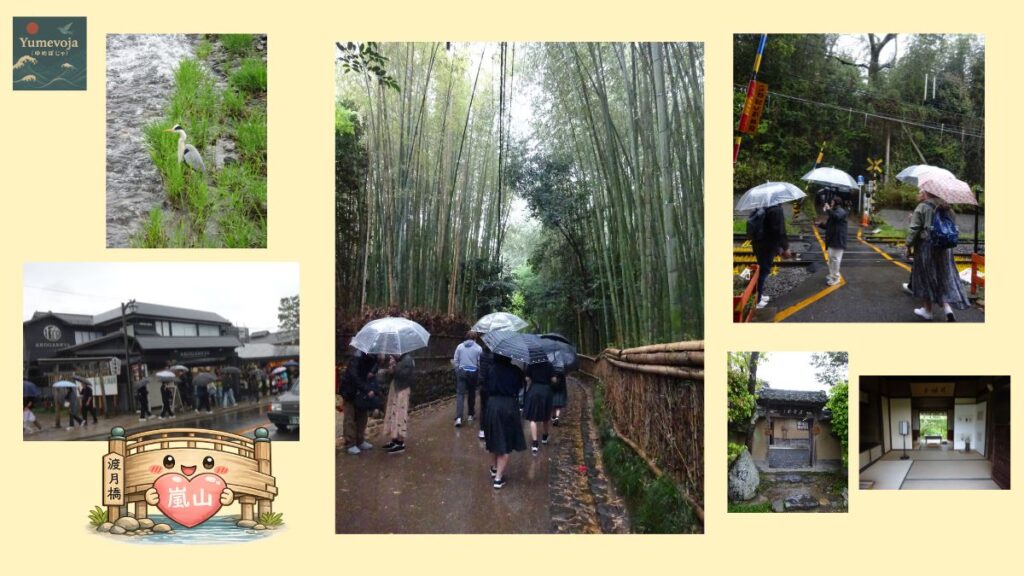 嵐山 竹林 落柿舎 雨 京都散策 竹道 静かな京都 新緑 コラージュ