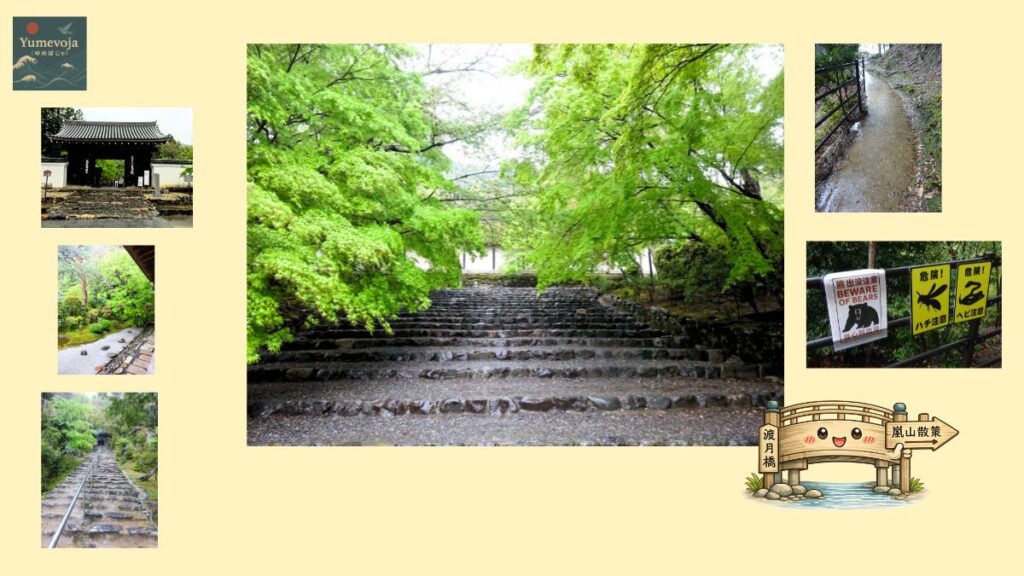 二尊院 嵐山 石段 青もみじ 雨 京都 寺院 新緑 静寂 コラージュ