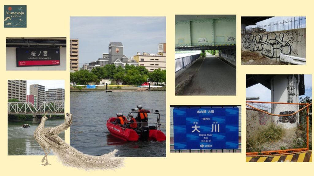 桜ノ宮駅から大川沿いを歩き、川と橋、救助艇、高架下の風景をまとめたコラージュ。