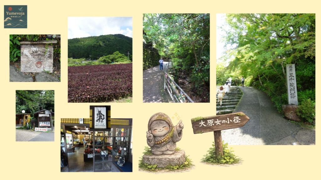 京都・大原の三千院へ向かう道中をまとめたコラージュ。赤紫蘇畑、川沿いの遊歩道、個性的なバッグのお店、三千院参道入口など、歩いて楽しめる風景を紹介した画像。