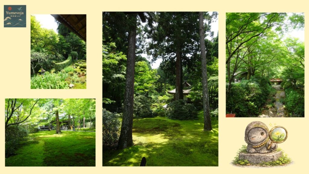 京都・三千院の苔庭をまとめたコラージュ。静かな庭園や杉木立、小川など、三千院ならではの穏やかな風景を紹介した画像。