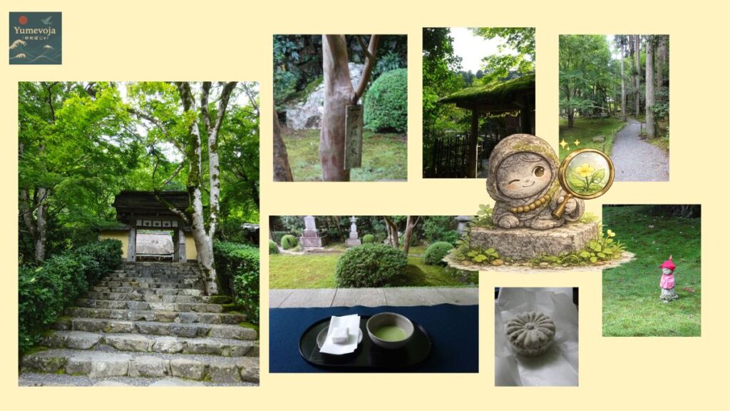 Collage of Jakko-in in Ohara, Kyoto, featuring the temple gate, shara tree, green grounds, matcha and a Japanese sweet