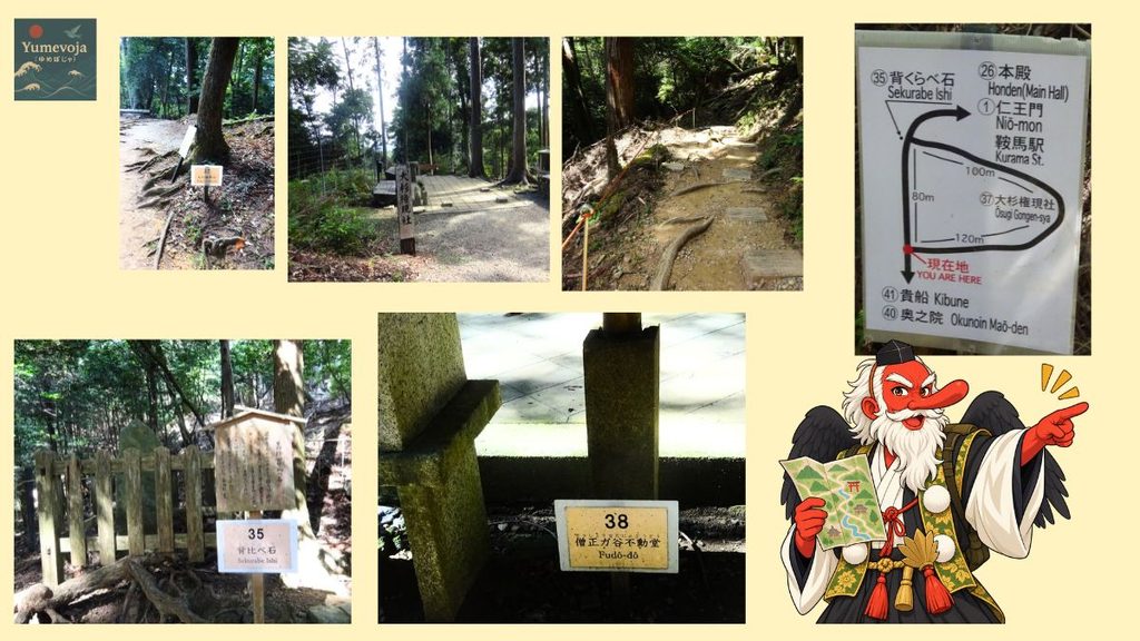 鞍馬山の奥の院参道で、大杉権現社、木の根が続く山道、義経背比べ石、不動堂と案内図をまとめたコラージュ