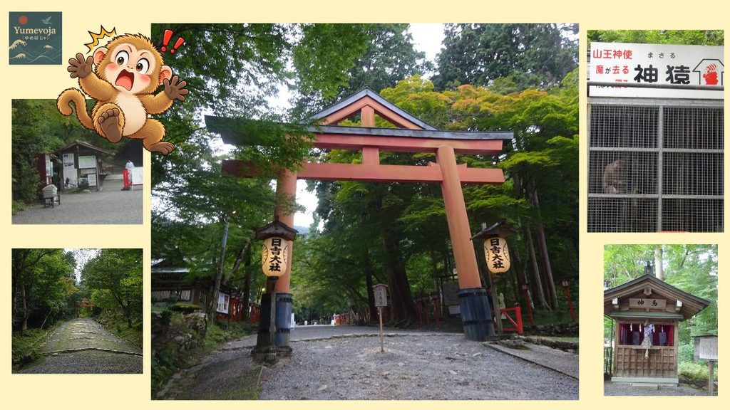 日吉大社のコラージュ。緑に囲まれた大きな鳥居、参道、神猿のいる檻、小さな社殿と、驚いた表情の猿のイラスト。